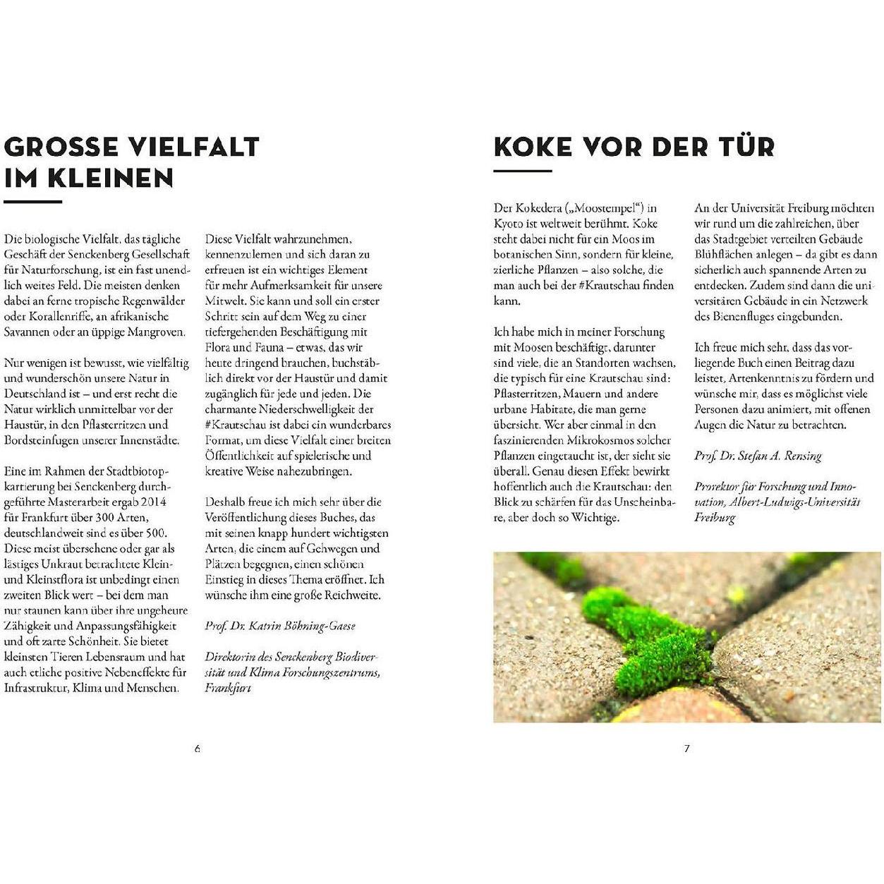 Thumbnail - Das wächst in deiner Stadt, Fachbücher von Julia Krohmer, Alexandra-Maria Klein