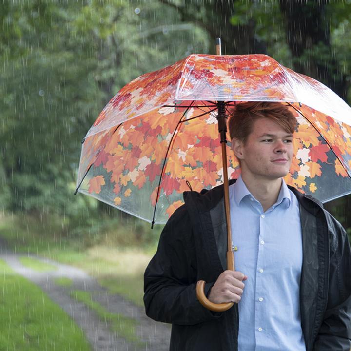 Immagine prodotto Esschert Design Ombrello in cima all'albero in autunno