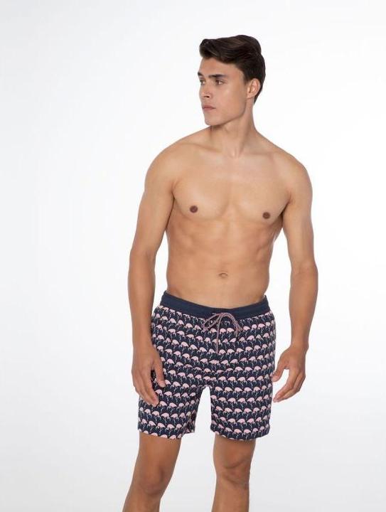 Actual product image Protest Men's Beach Shorts PRTOHLANDER Night SkyBlue S (S)