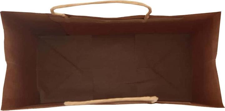 Image du produit VidaXL Sacs en papier kraft 250 pcs. avec anse Vert 18x8x22 cm Sac en papier (Pochette cadeau, 250 x)