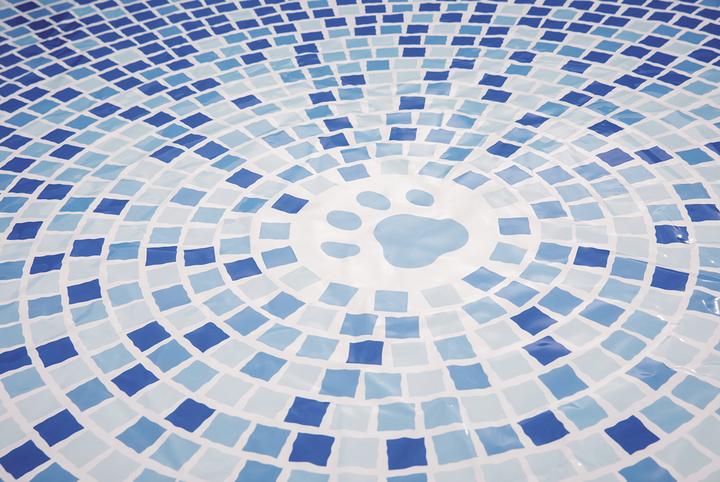 Productafbeelding Intex Opvouwbaar hondenzwembad (Zwembad)