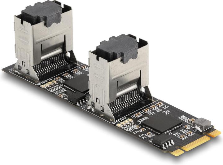 Actual product image Delock Converter M.2 2280 Key B+M male to 8 x SATA