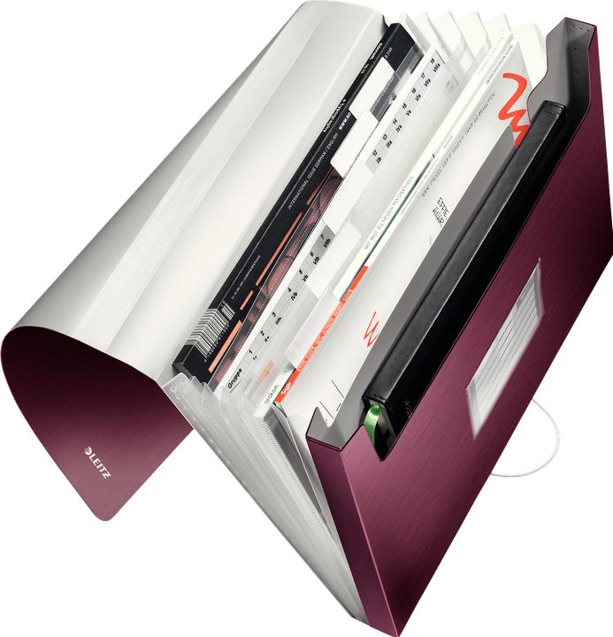 Actual product image Leitz Folder Style PP (A4, 1x)