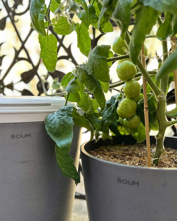 Produktbild Boum Starter Set (Bewässerungsset)