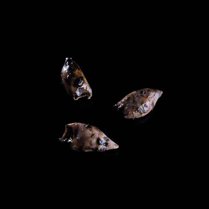 Image du produit Real Conservera Española Poulpe à l'huile d'olive (80 g)