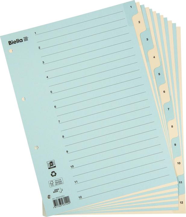 Image du produit Biella Registre Carton coloré