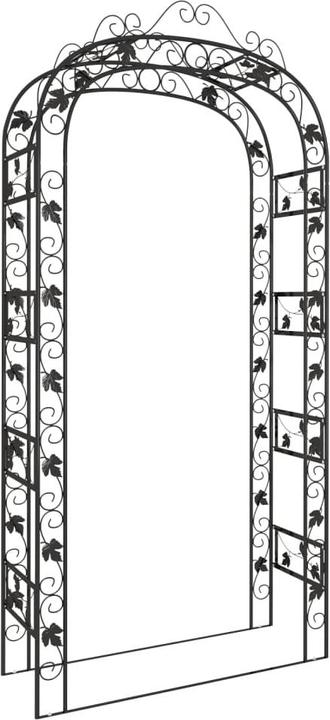 Immagine prodotto vidaXL Gartenbogen (45 cm, 116 cm)