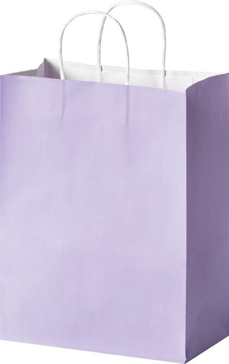 Produktbild Folia Papiertüten L BASIC, aus 110g/m² Kraftpapier (20 x)