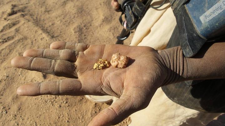 Produktbild Minelab GPX 5000