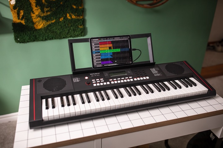 Actual product image Roland E-X10 (61 Keys)