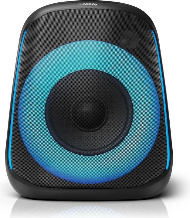 Actual product image Niceboy PARTY Boom 80W (10 h)