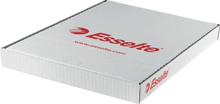 Immagine prodotto Leitz Custodia per brochure Esselte Standard, DIN A4, PP, trasparente, 0,06 mm aperta, incolore, a prova (A4, 1 x)