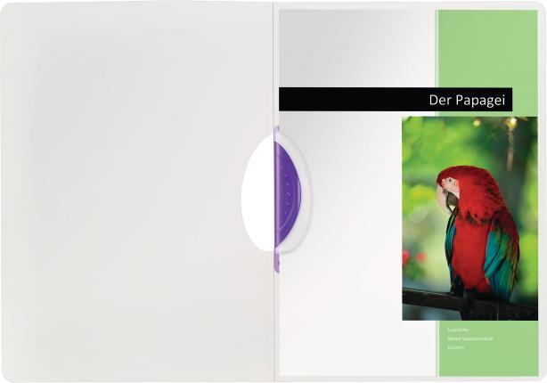 Actual product image Kolma Clip binder Easy Plus A4 green (A4, 1 x)