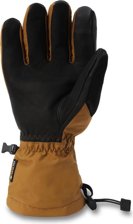 Image du produit Dakine Fillmore Gore-Tex Gloves (XL)