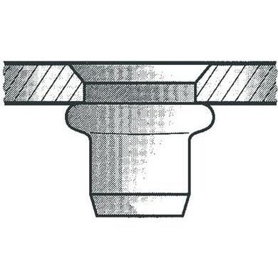 Gesipa, Möbelausstattung, Blindnietmutter Al M10x12x21 Senkkopf KS 4,0-6,5mm (Pack mit 100 St) (100 Stk.)