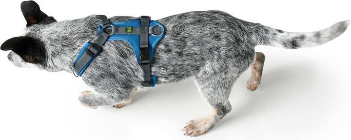 Actual product image Hunter Maldon Up (M, S, Dog, General)