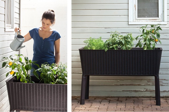 Produktbild Keter Easy Growing