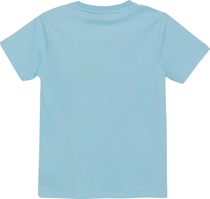 Actual product image Color Kids Kid's T-Shirt with Print S/S (128)