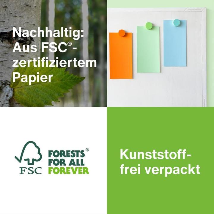 Image du produit Magnetoplan Fiches de présentation