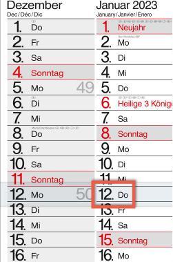 Produktbild Bühner 3-Monatskalender (A2)