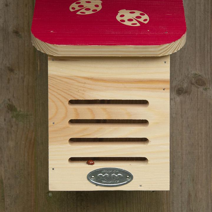 Image du produit Esschert Design Maison des coccinelles (Coccinelles)
