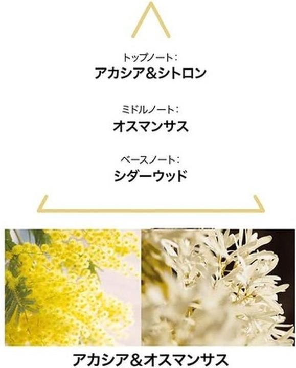 Produktbild Le Couvent Des Minimes Intense Botanical Aquamajestae Edc 100 Ml (Eau de Toilette, 100 ml)