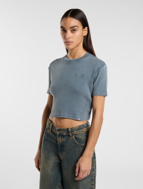 Produktbild Dickies Plentywood Tee Ss W Stormy Weather (XXS, XS, S, M, L, XL)