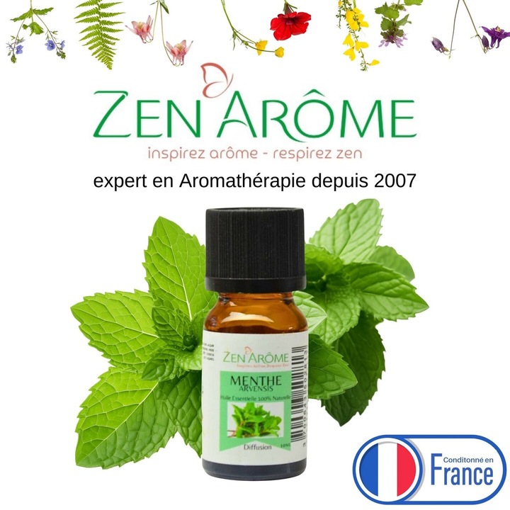 Produktbild Zen Arôme Raumduft Duftöl ätherisches Menthe Arvensis Minze Aromaöl No.49