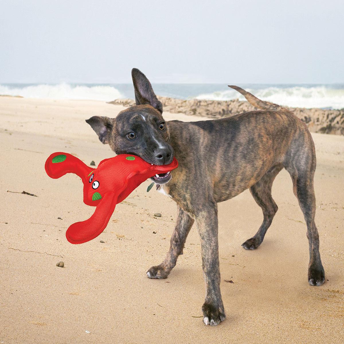 Thumbnail - KONG Hundespielzeug Belly Flops Lobster rot (28cm) (Schwimmspielzeug), Hundespielzeug