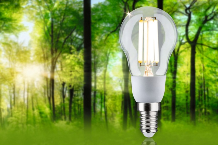 Actual product image Paulmann Drop Eco-Line filament (E14, 2.50 W, 525 lm, 1 x, A)