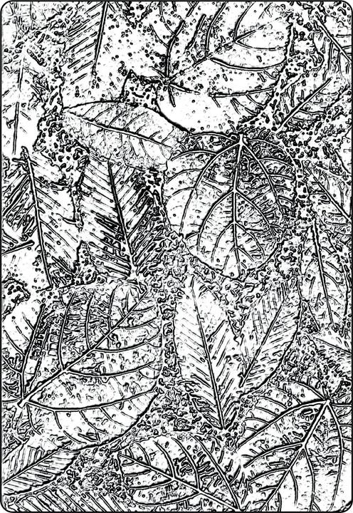 Actual product image Sizzix A5 3D-Prägeschablone by Tim Holtz