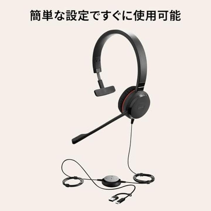 Image du produit Jabra Evolve 20 (Filaire, USB-A)