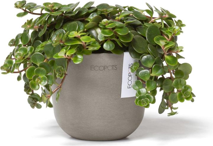 Immagine prodotto Ecopots Oslo Mini (11.50 cm)