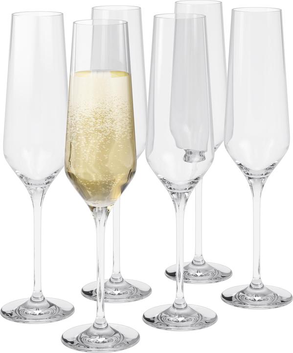 Eva Solo Champagnerglas Legio Nova 260 ml, 6 Stück, Transparent (26 cl, 6 Gläser, Sektgläser)