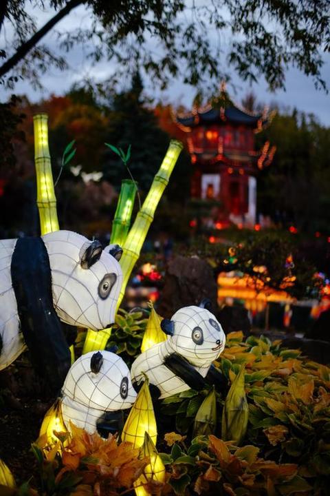 Produktbild Zhongyi Mitakon 35mm f/0.95 Mark II Speedmaster für Fuji (Fujinon XF, APS-C / DX)