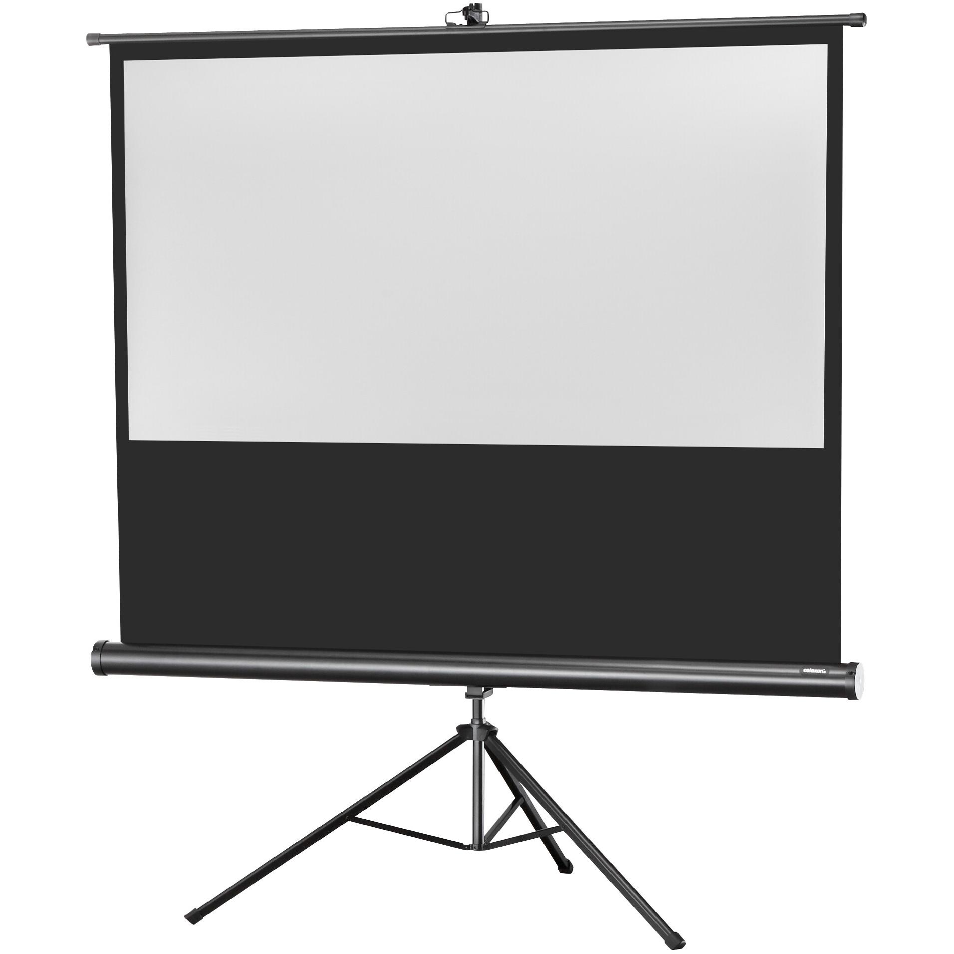 Celexon Eco Stativ, Leinwand, 16:9 (86.22", 16:9), Leinwand, Schwarz