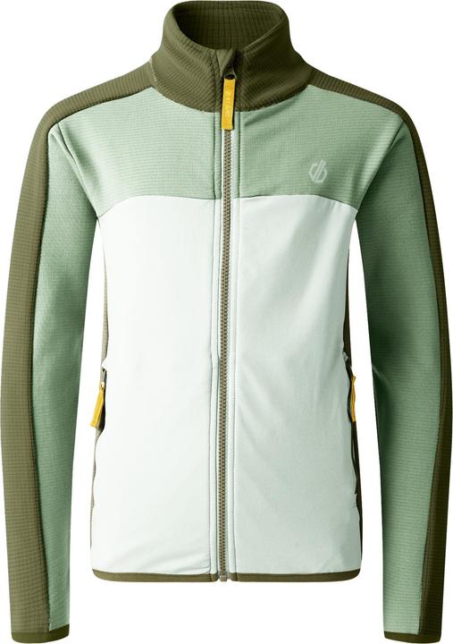 Verde siepe, Verde oliva