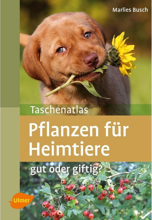 Produktbild Taschenatlas Pflanzen für Heimtiere (Deutsch, Marlies Busch, 2014)