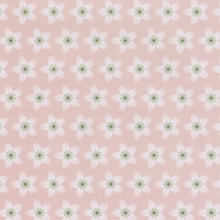 Image du produit Rico Design Dépliants "Fleurs de cerisier" 15 x 15 cm, assortis, 50 feuilles (70 g/m², 1x)