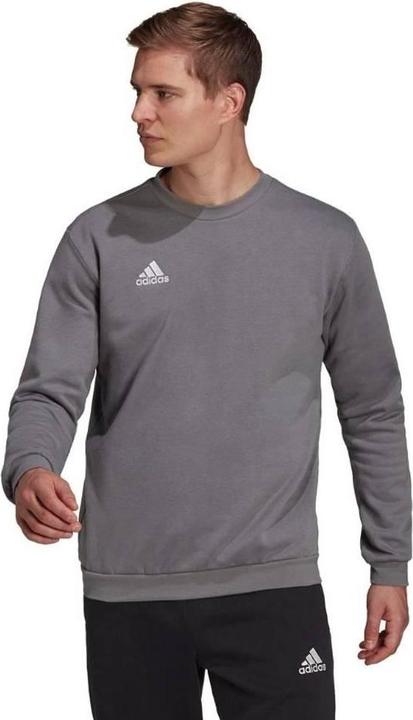 Produktbild Adidas Entrada 22 Sweatshirt (L)