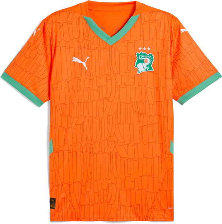 Image du produit Puma FIF Home Jersey Replica (L)