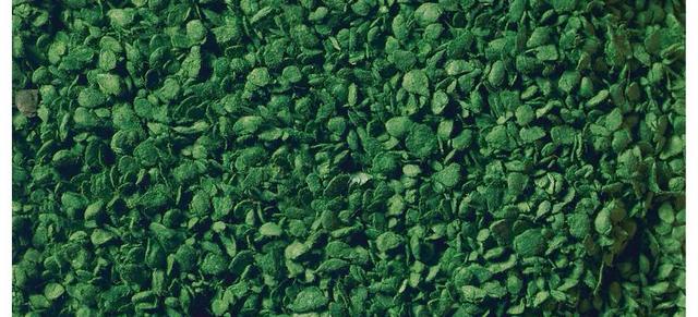 Actual product image Noch 07144