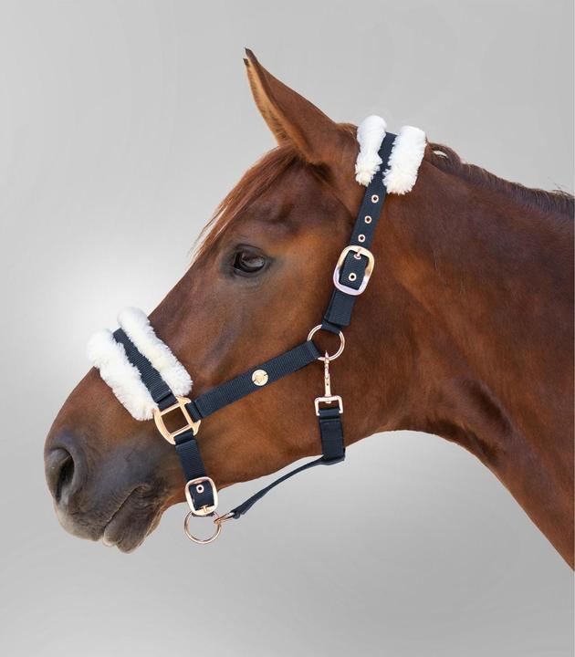 Immagine prodotto Waldhausen Halter Modern Rosé