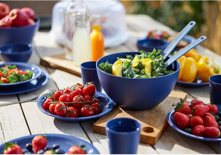 Actual product image Rotho Teller flach 26 cm ECO CARUBA - Holzkohle schwarz gedeckt