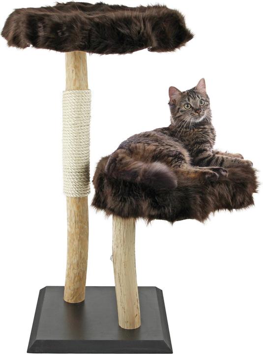 Actual product image Swisspet Living Cat Tree No.3 (111 cm, Darkness)