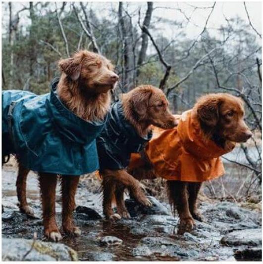 Produktbild Hurtta Regenmantel Monsoon Coat (80, L, Hunderegenmantel)