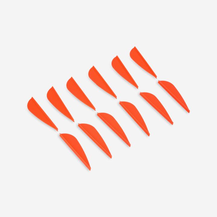 Actual product image Geologic Feather archery 12-pack