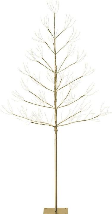 Produktbild STT Champagne Tree