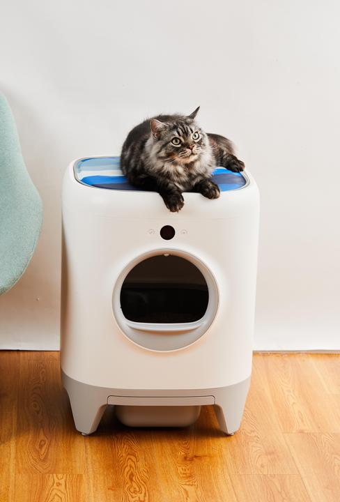 Immagine prodotto Petkit Kühlmatte (Gatto, Cane)