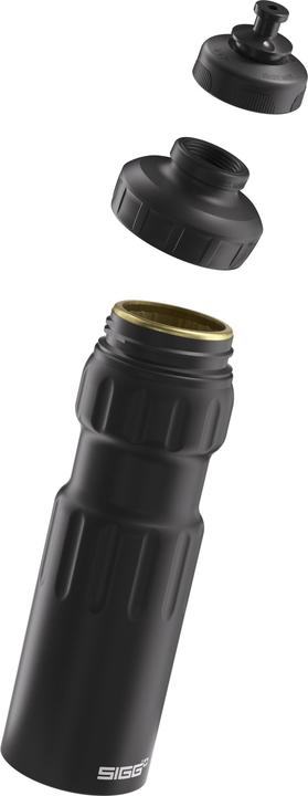 Actual product image Sigg WMB Sports (0.75 l)